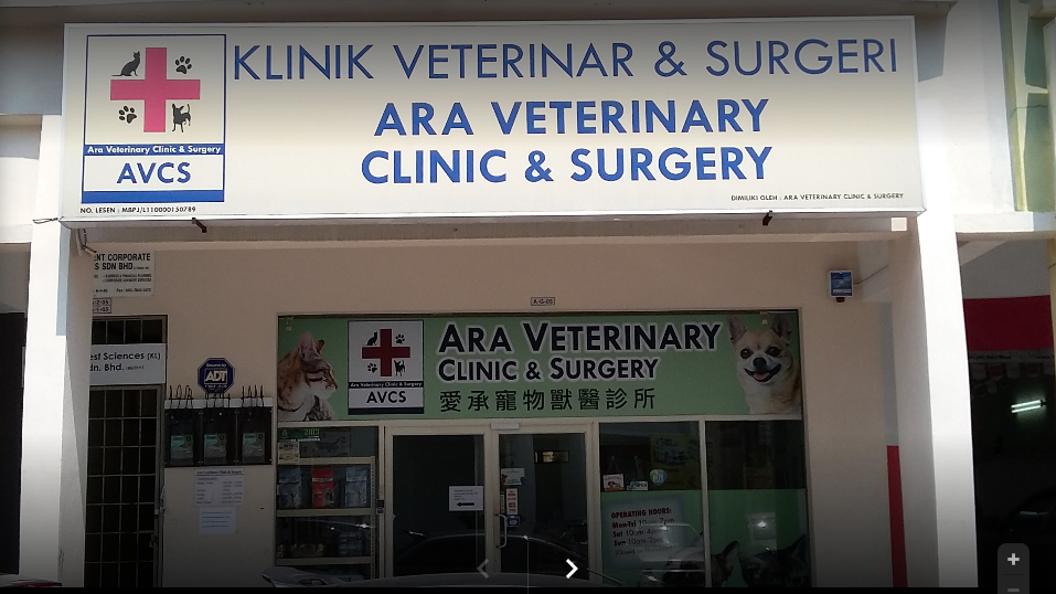 Maju animal clinic