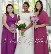 A Touch of Blush business logo picture