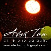 Alex Tan Art & Photography business logo picture