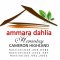 Ammara Dahlia Homestay-Cameron Highlands Picture