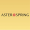 Aster Spring Sunway Velocity picture
