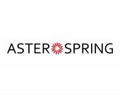 Aster Spring business logo picture