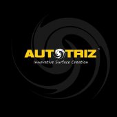 Triz International business logo picture
