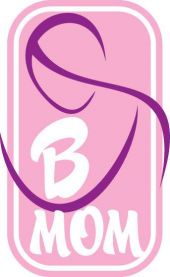 B Mom Confinement Services business logo picture