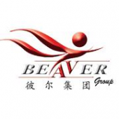 Beaver Group business logo picture