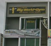 Big World Gym business logo picture