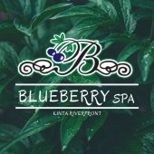 Blueberry Spa Kinta Riverfront business logo picture