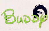 Buddy Hair Studio business logo picture