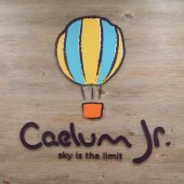 Caelum Junior Bendemeer business logo picture