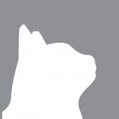 Cat Welfare Society business logo picture
