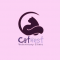 Catnest Veterinary Clinic Picture