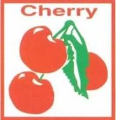 Cherry Tuition Centre business logo picture