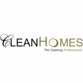 CleanHomes business logo picture