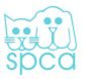 DBKL-SPCA Spay-Neuter Clinic business logo picture