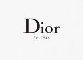 Dior Stores ION Orchard business logo picture