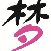 Dream Wedding Boutique business logo picture