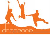 DropZone business logo picture