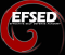 EFSED Effective Self Defense Academy profile picture