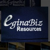 EginaBIZ business logo picture