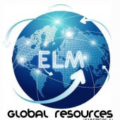 ELM Global Car Rental business logo picture