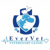 EverVet Veterinary Clinic business logo picture