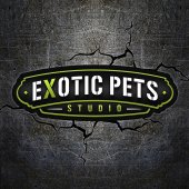 Exotic Pets Studio business logo picture
