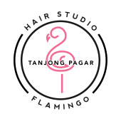 Flamingo Hair Studio Tiong Bahru business logo picture