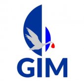 GIM Movers business logo picture