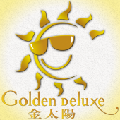 Golden Deluxe Travel Service Agency business logo picture