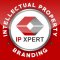 IP Xpert  profile picture
