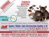 James White Ants Destroying (Kulim)Sdn Bhd business logo picture