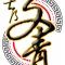 Malaysia Johor Senai Literary Youth Martial Arts Dragon and Lion Sports Association  profile picture