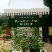 Kapas Island Resort business logo picture