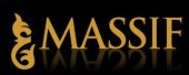 Massif Design business logo picture