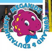 MegaKidz Funland & Edutainment business logo picture