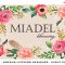 Miadel Blooming Florist picture