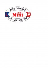 Mini Driving Institute business logo picture