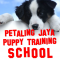 My Puppy Training picture