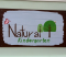 Natural Kindergarten Picture