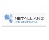 Netallianz Web Design business logo picture
