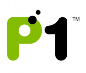 P1 Center SKYWAY NETWORKS business logo picture