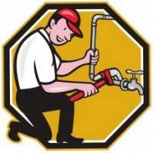 Pak Tam Din Plumbing business logo picture