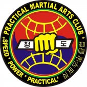 Practical Martial Arts Club business logo picture