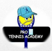 Pro E Tennis Academy business logo picture