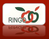 Ringo Language & Translation Services business logo picture