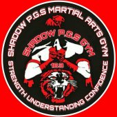 Shadow PGS Martial Arts Gym business logo picture