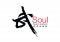 Soul Wushu Academy profile picture