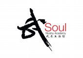 Soul Wushu Academy business logo picture