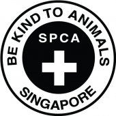 SPCA Clinic Community Animals Only business logo picture