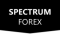 Spectrum Forex, Klang Picture